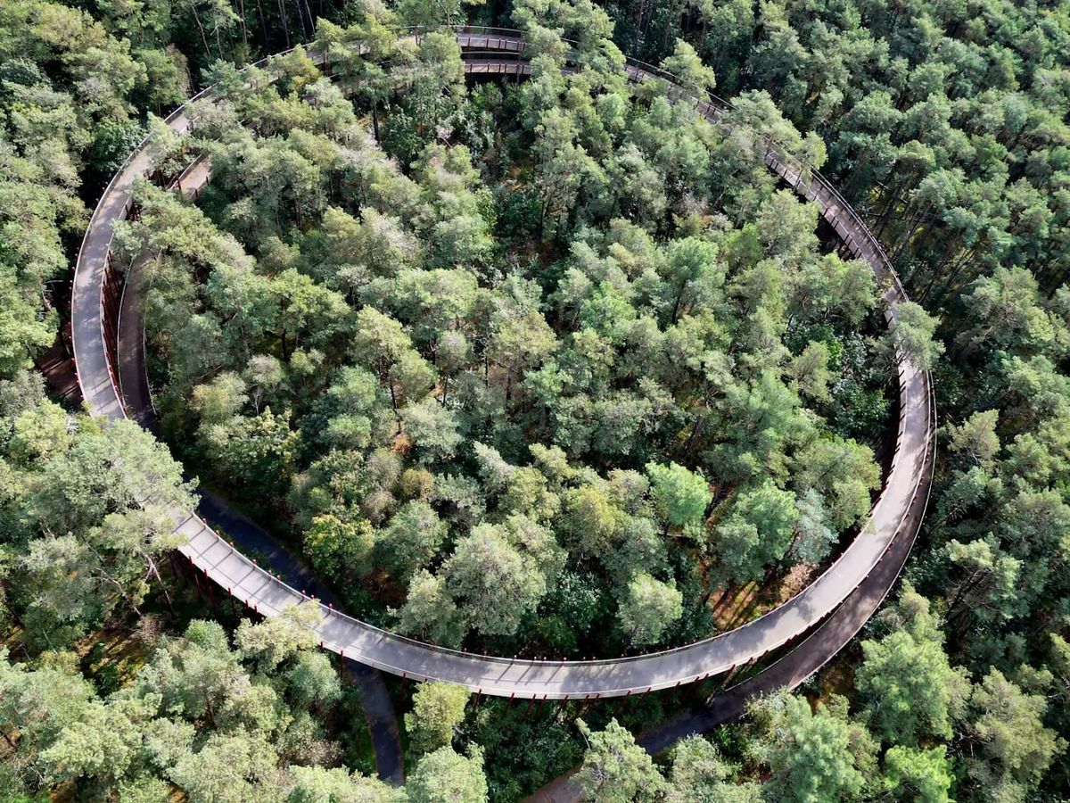 Luchtfoto van het fietspad door de boomkruinen in Hechtel-Eksel