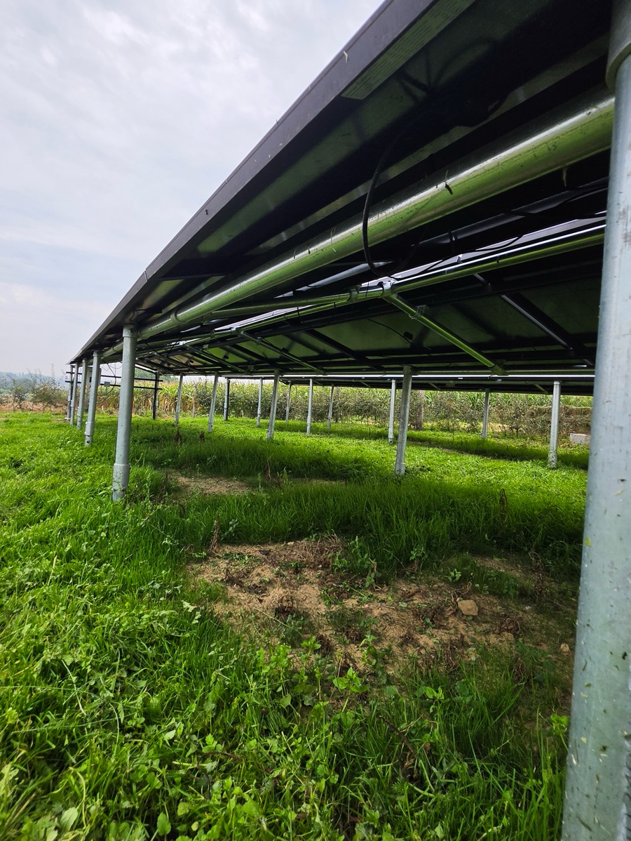 Onderzicht van het zonnepaneelframe met stalen staanders op helixpalen